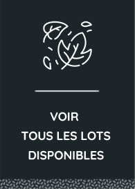 Tous les lots